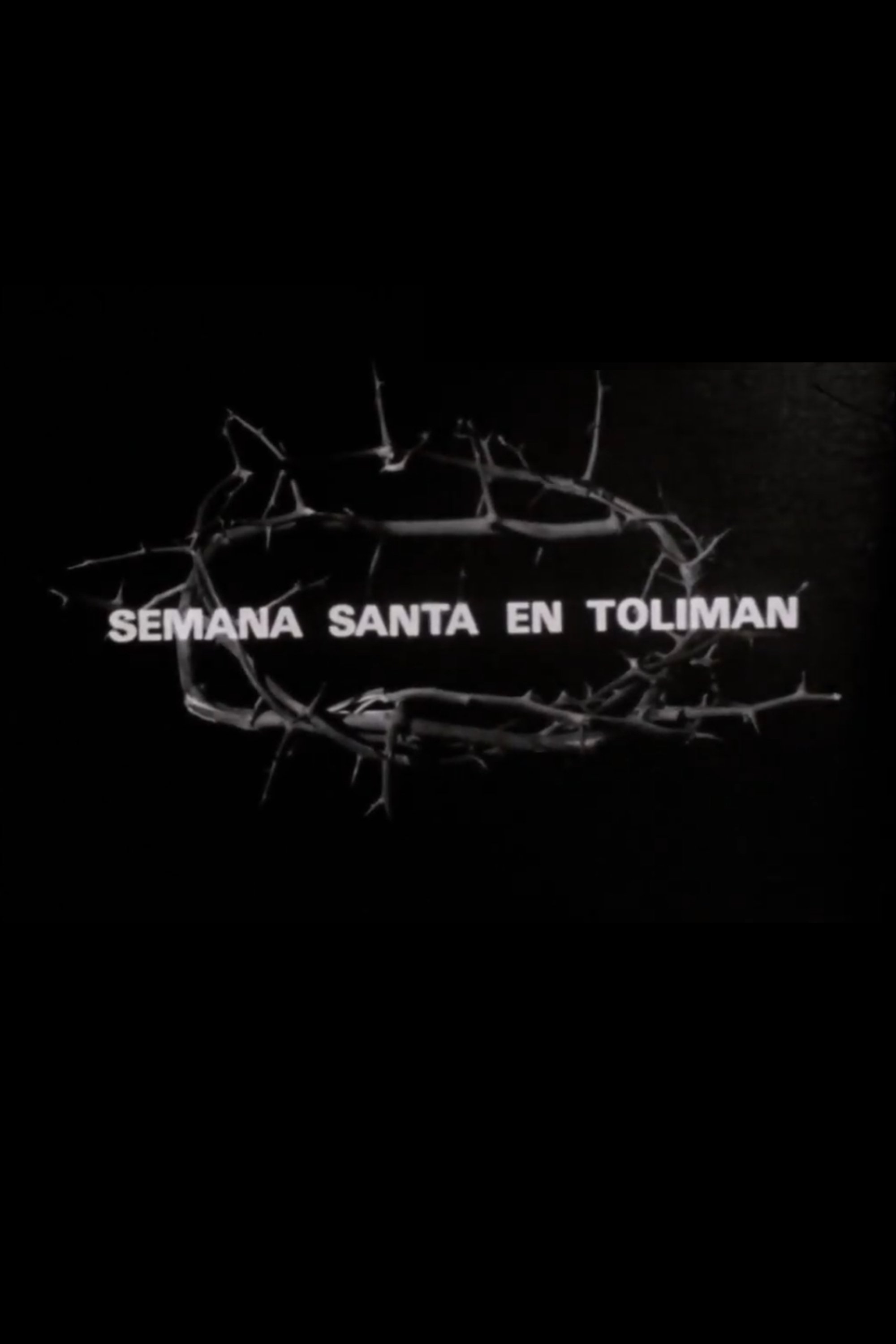 Semana Santa en Tolimán
