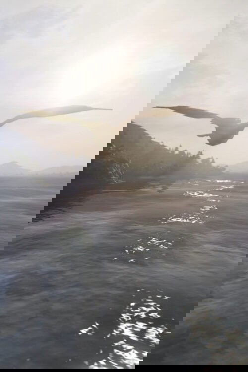 How to Fly