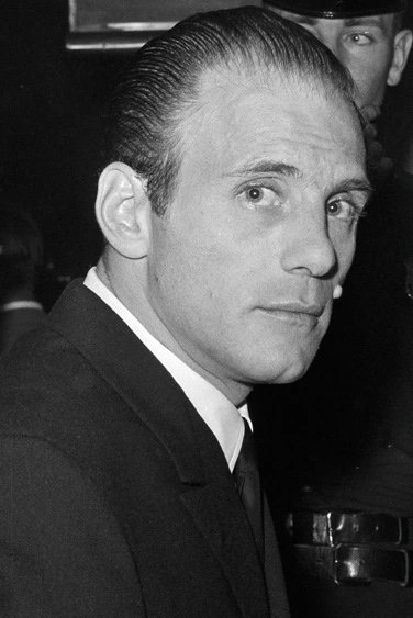 Joe Gallo image