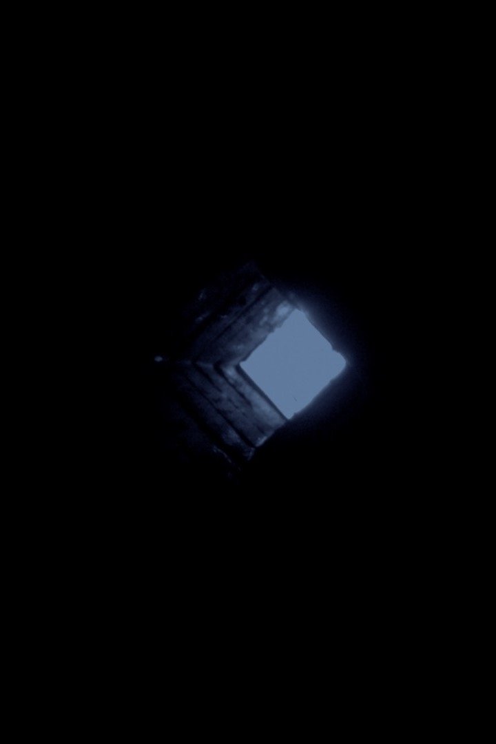 In Place of a Hollow Tree