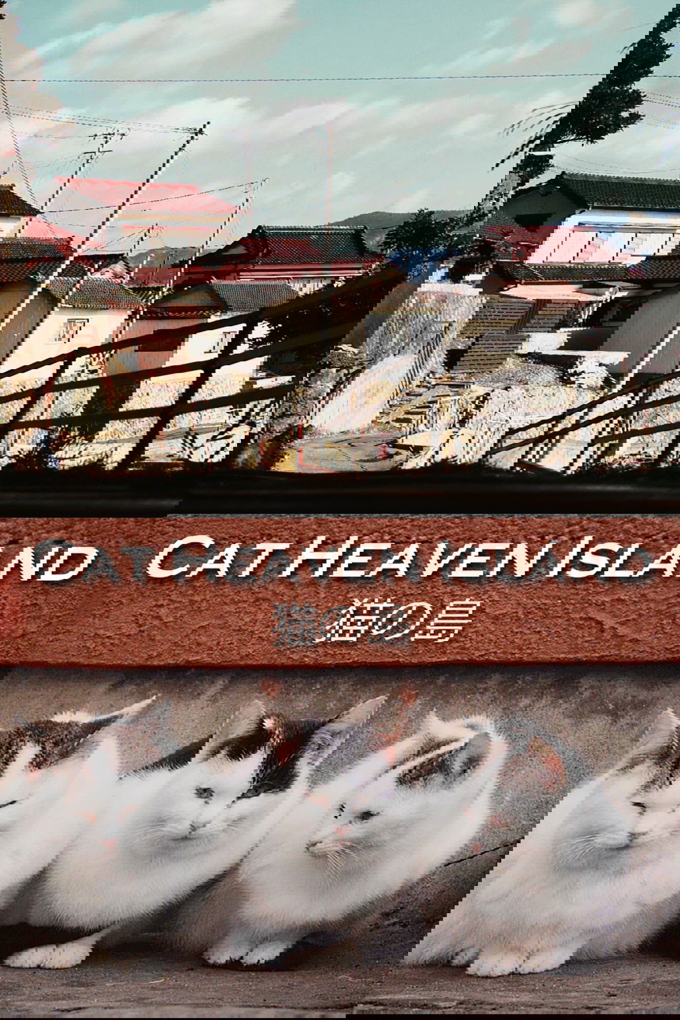 Cat Heaven Island