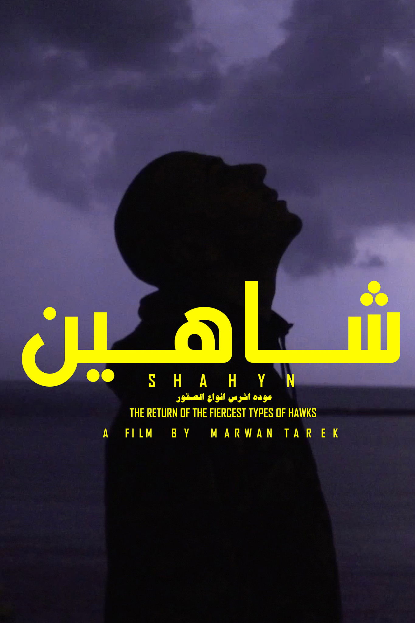 SHAHYN - THE RETURN OF THE FIERCEST TYPES OF HAWKS