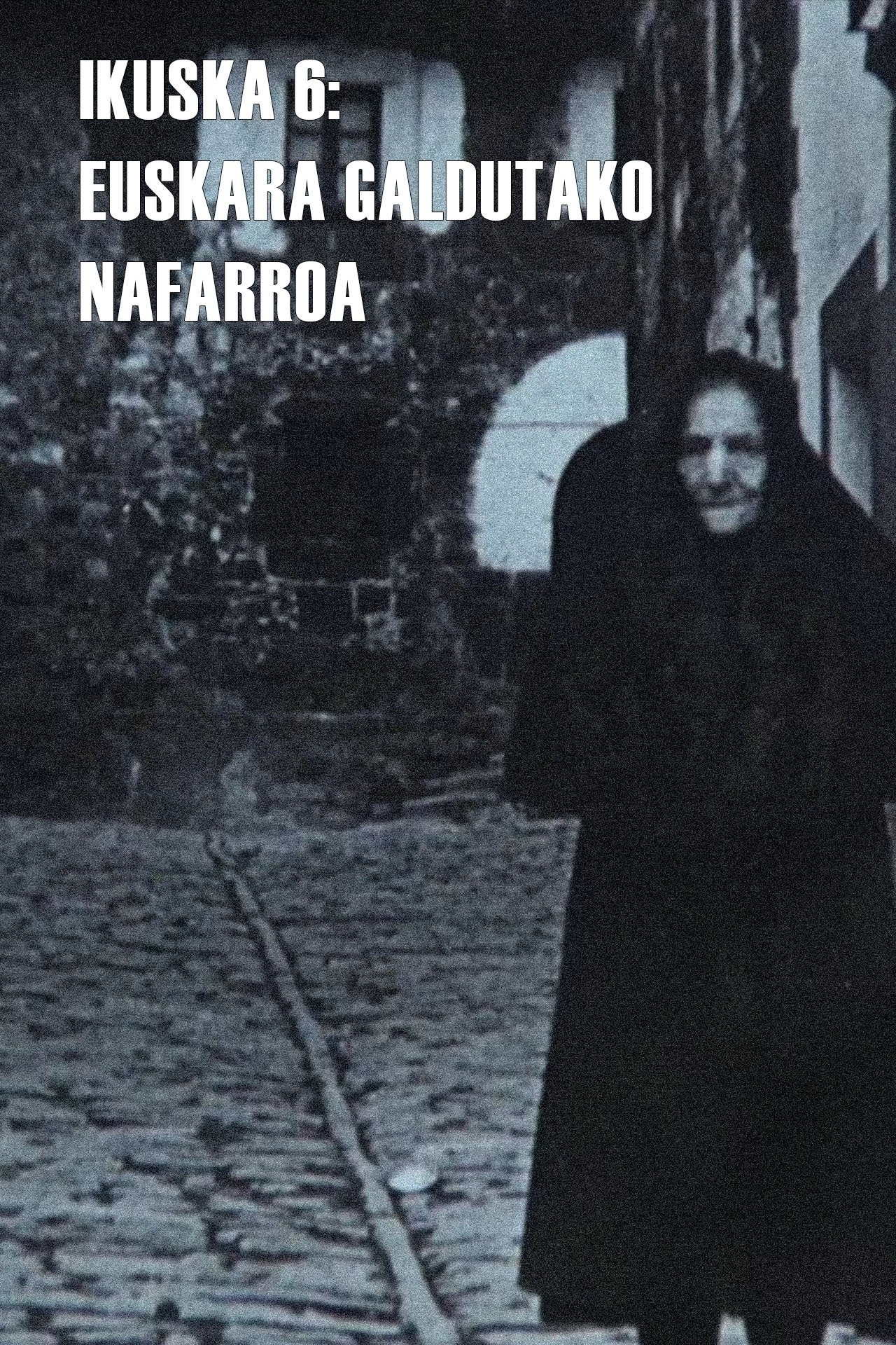 Ikuska 6: Euskara galdutako Nafarroa
