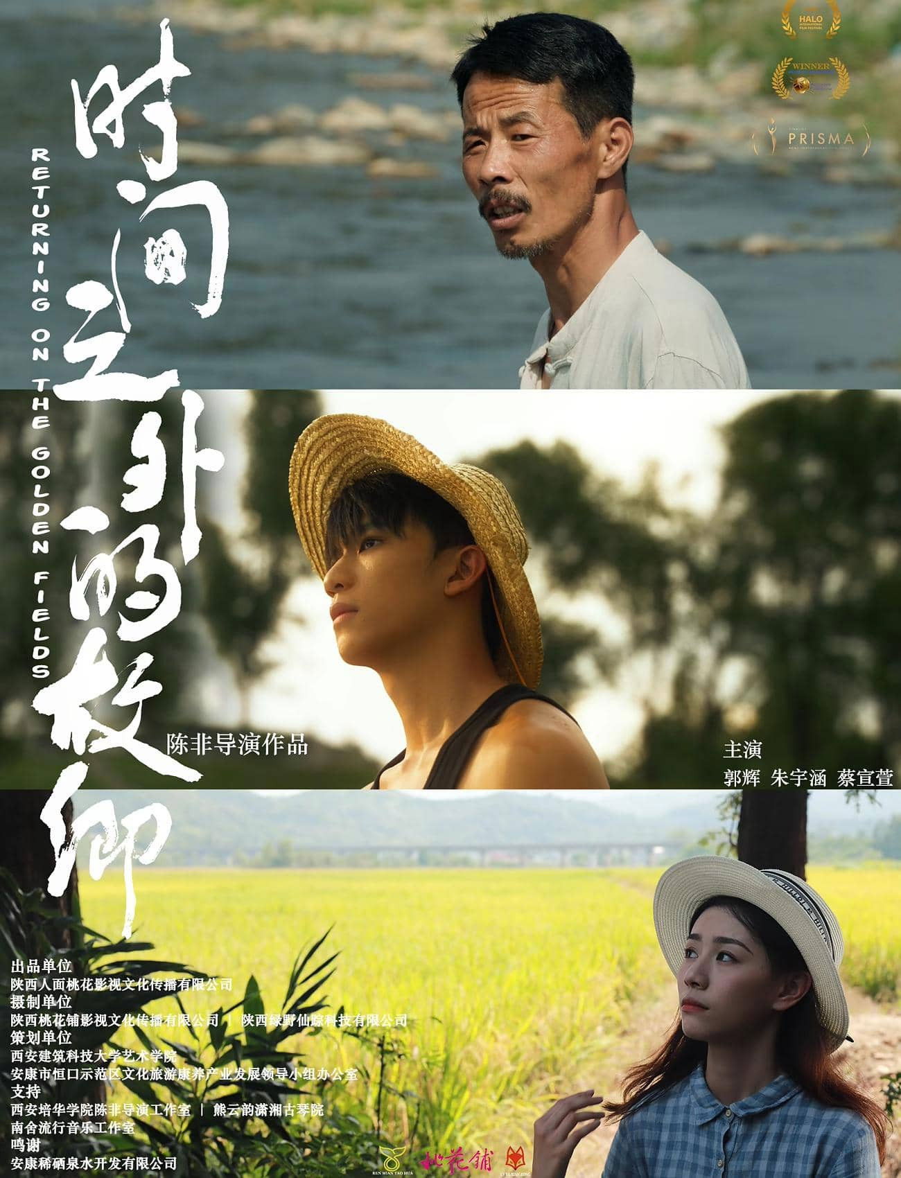 Returning On The Golden Fields