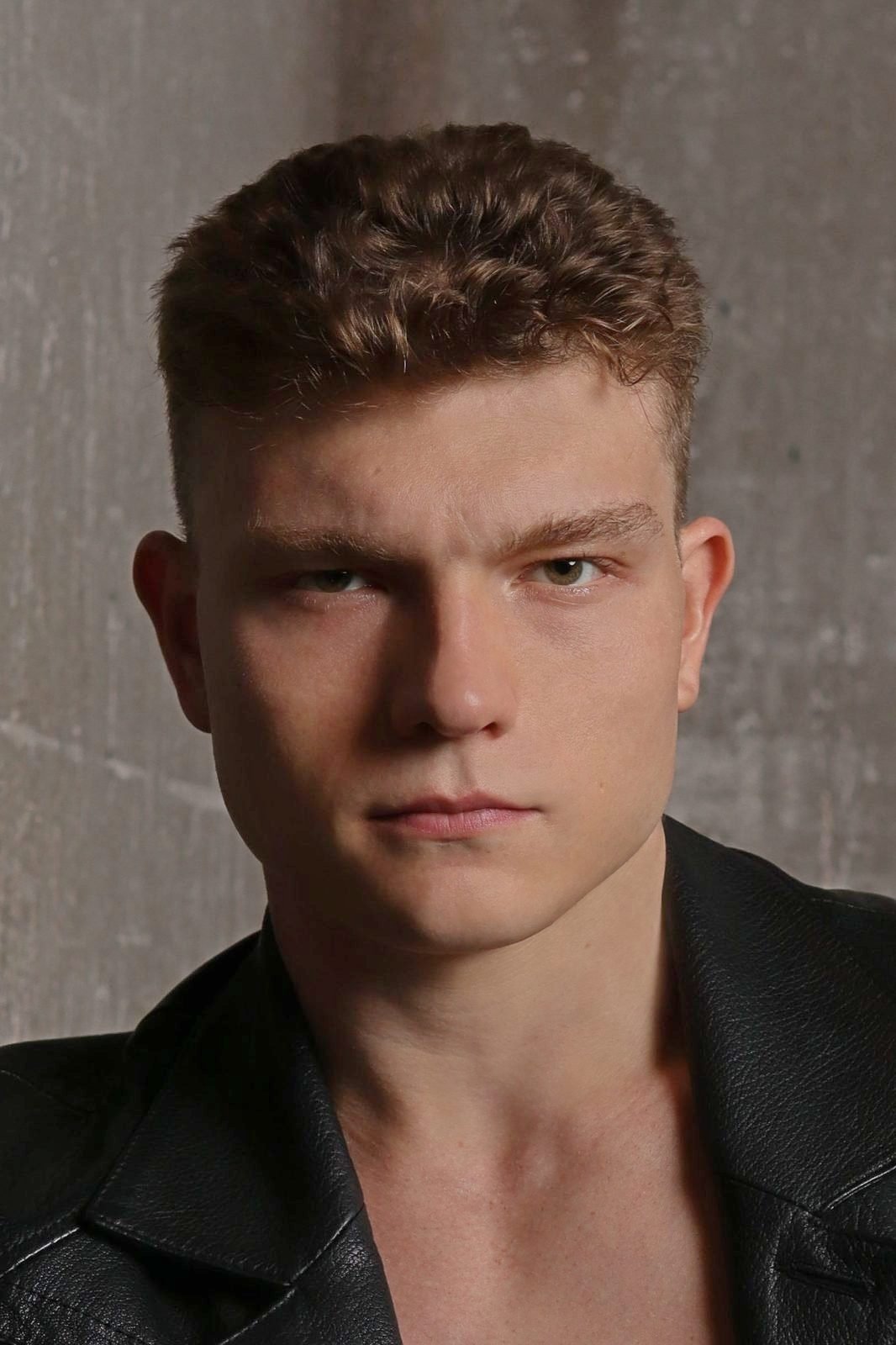 Stanislav Demushin image