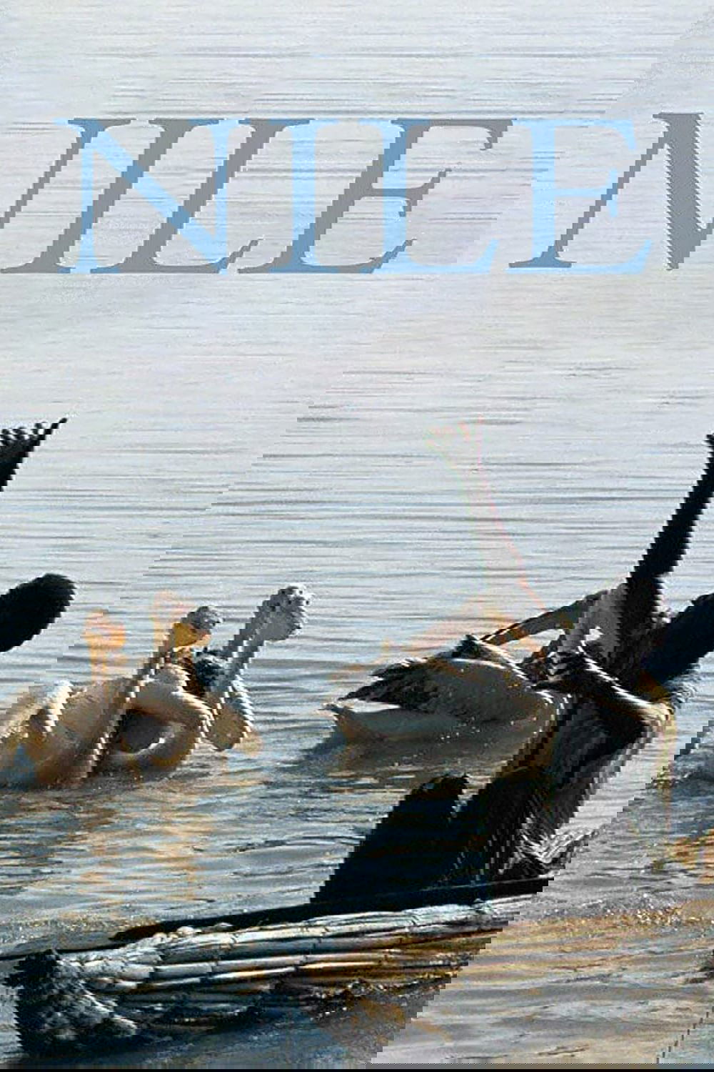 Nile