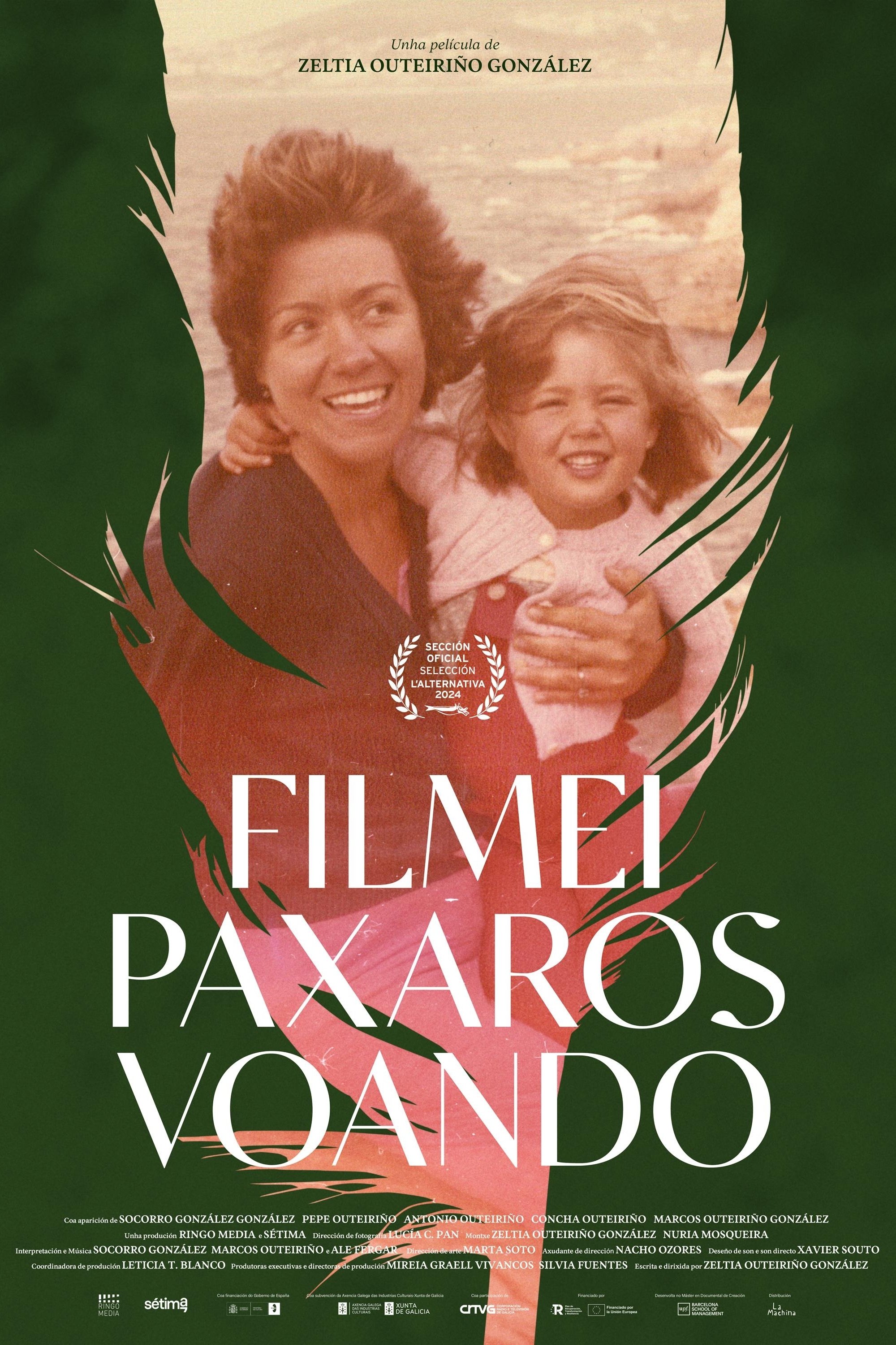 Filmei paxaros voando
