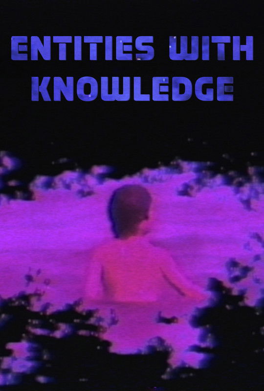 Entities with Knowledge
