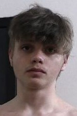 Bogdan Fox image