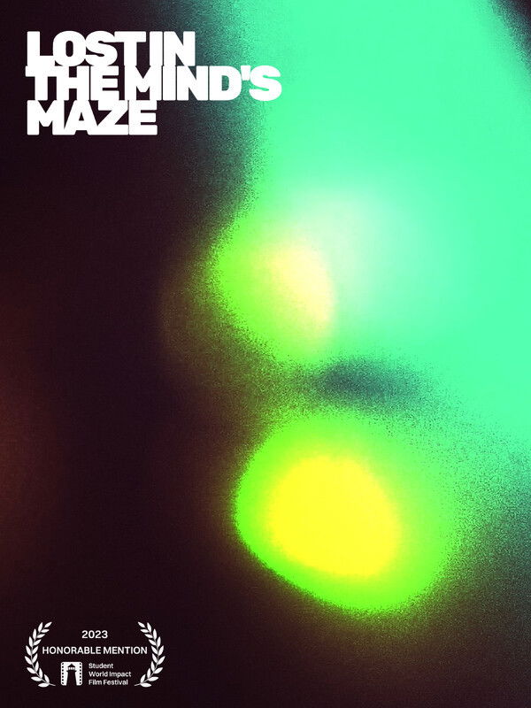 Lost in the Mind's Maze