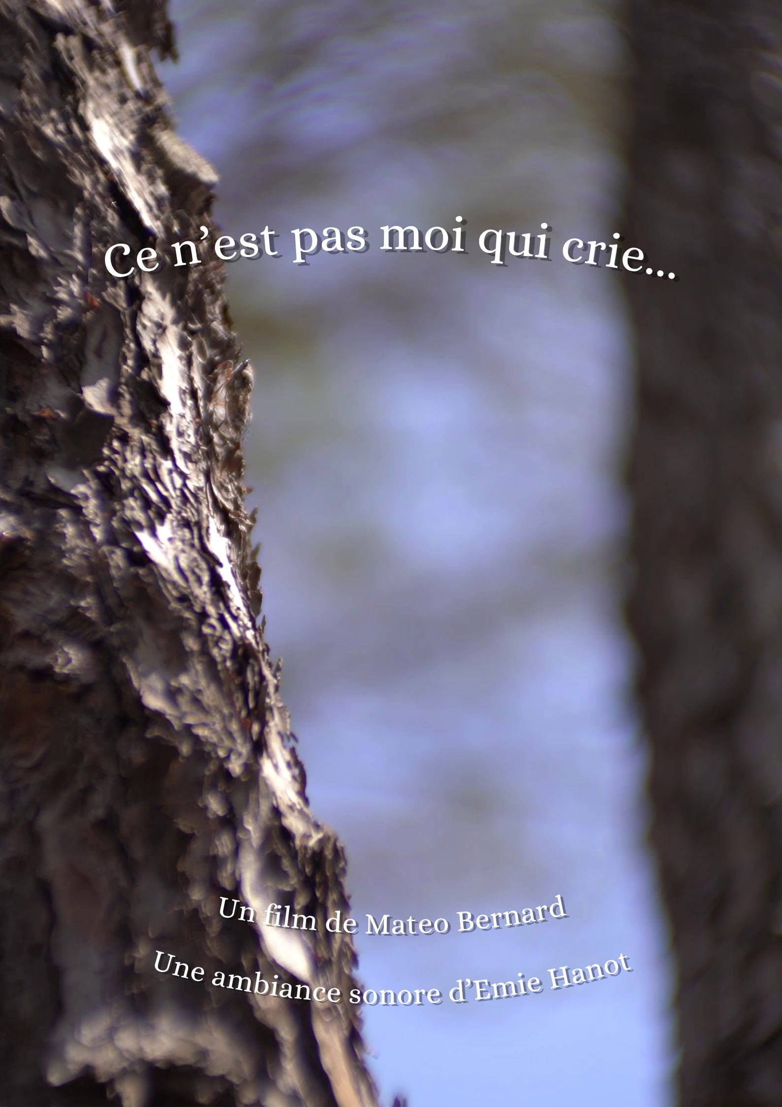 Ce n'est pas moi qui crie...