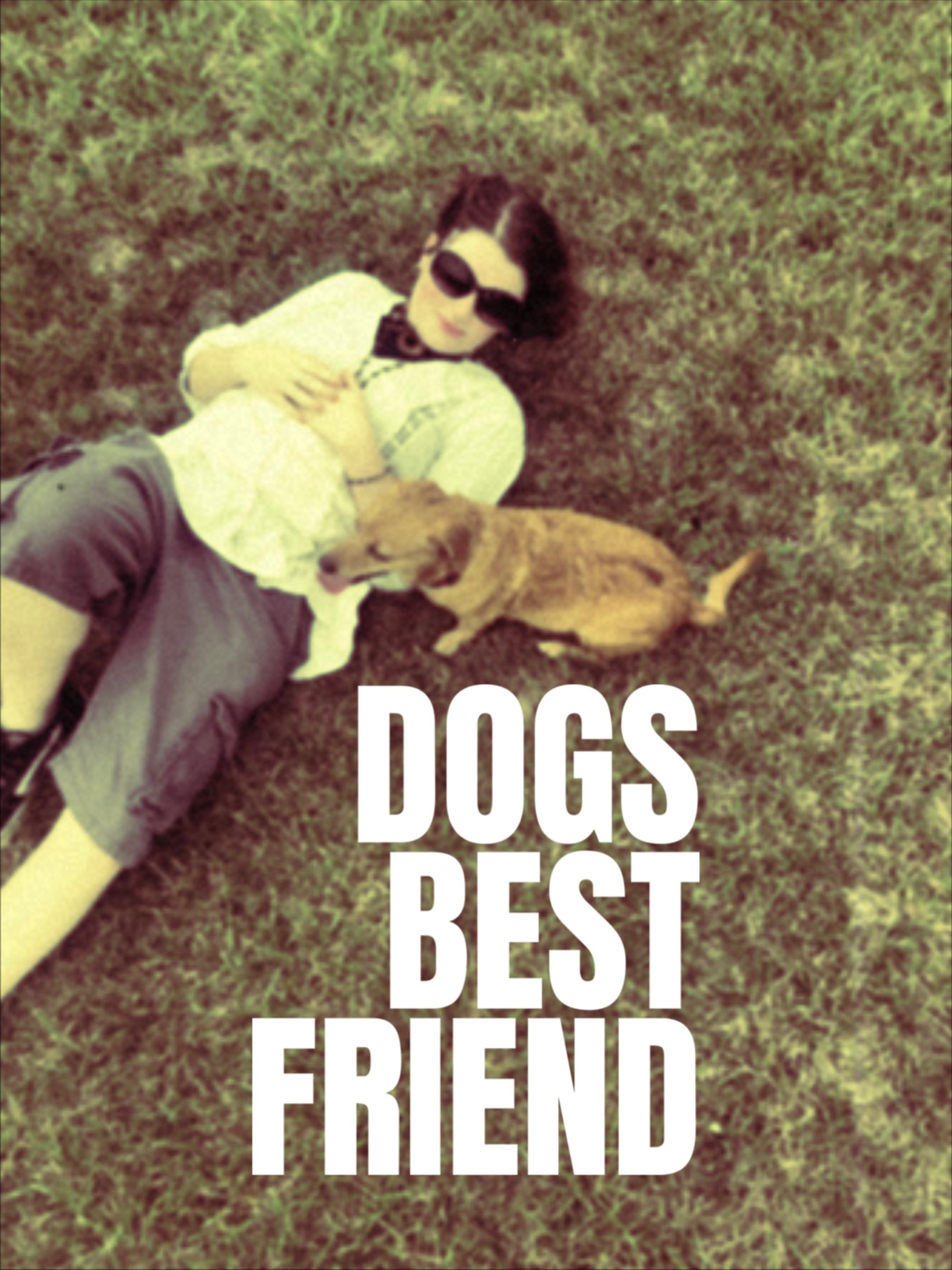 Dogs Best Friend
