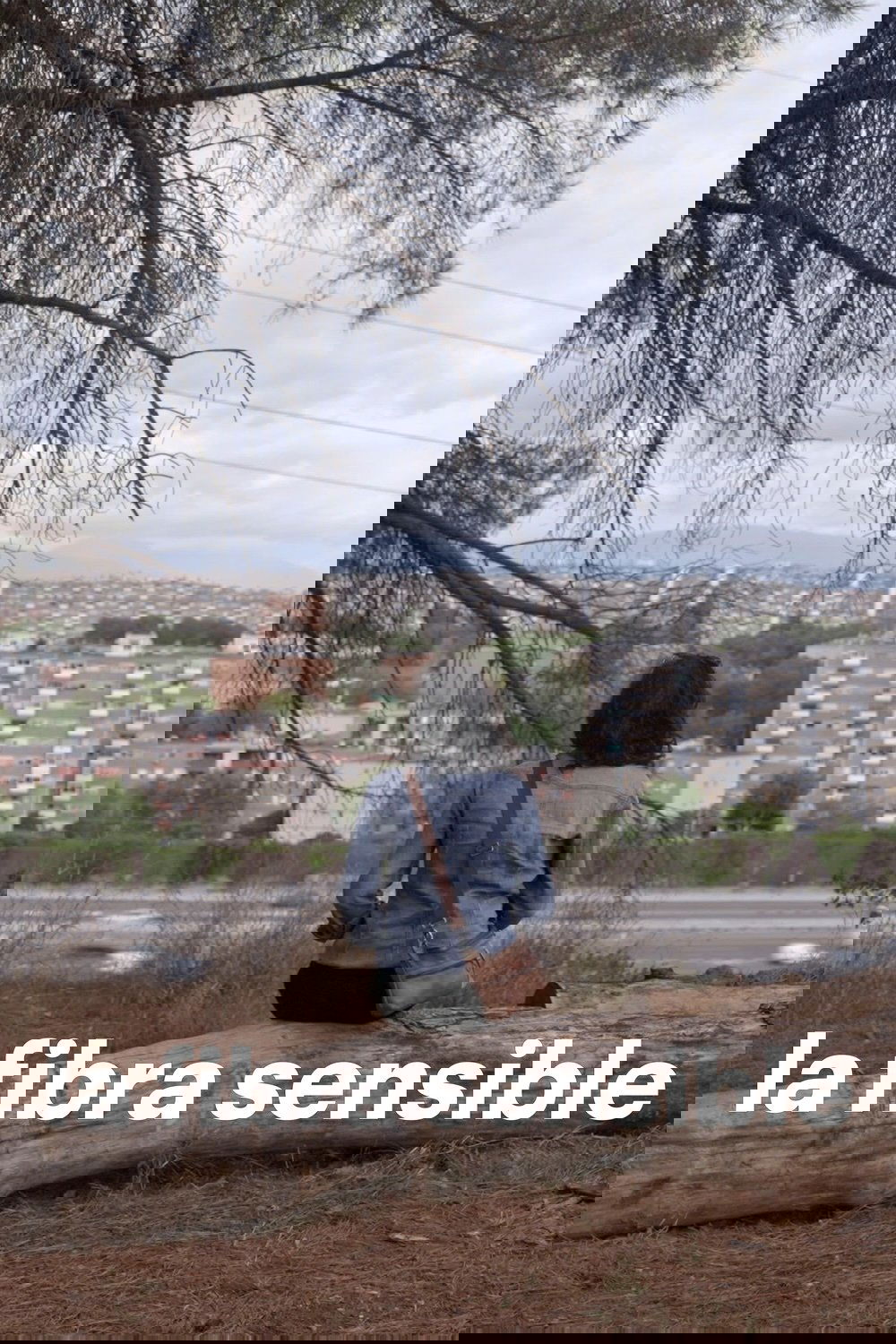 La fibra sensible