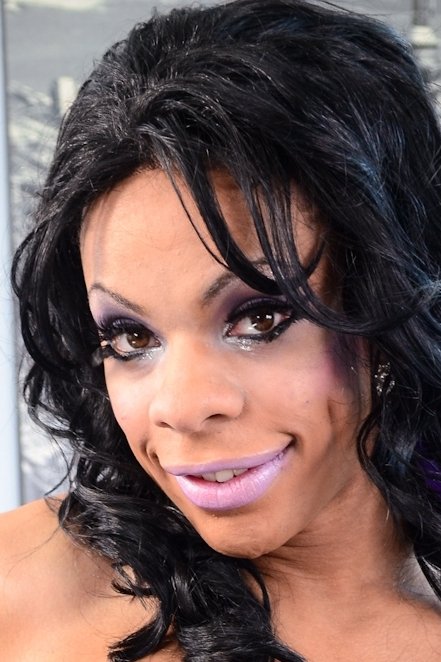 Sasha Strokes image