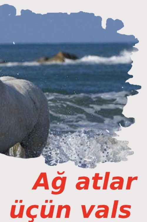 Waltz for White Horses