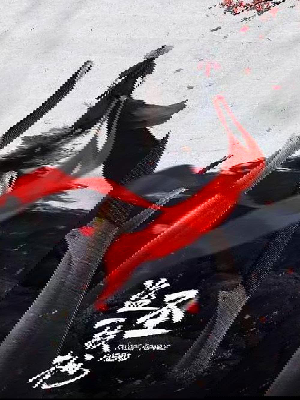 Thief Female Hero