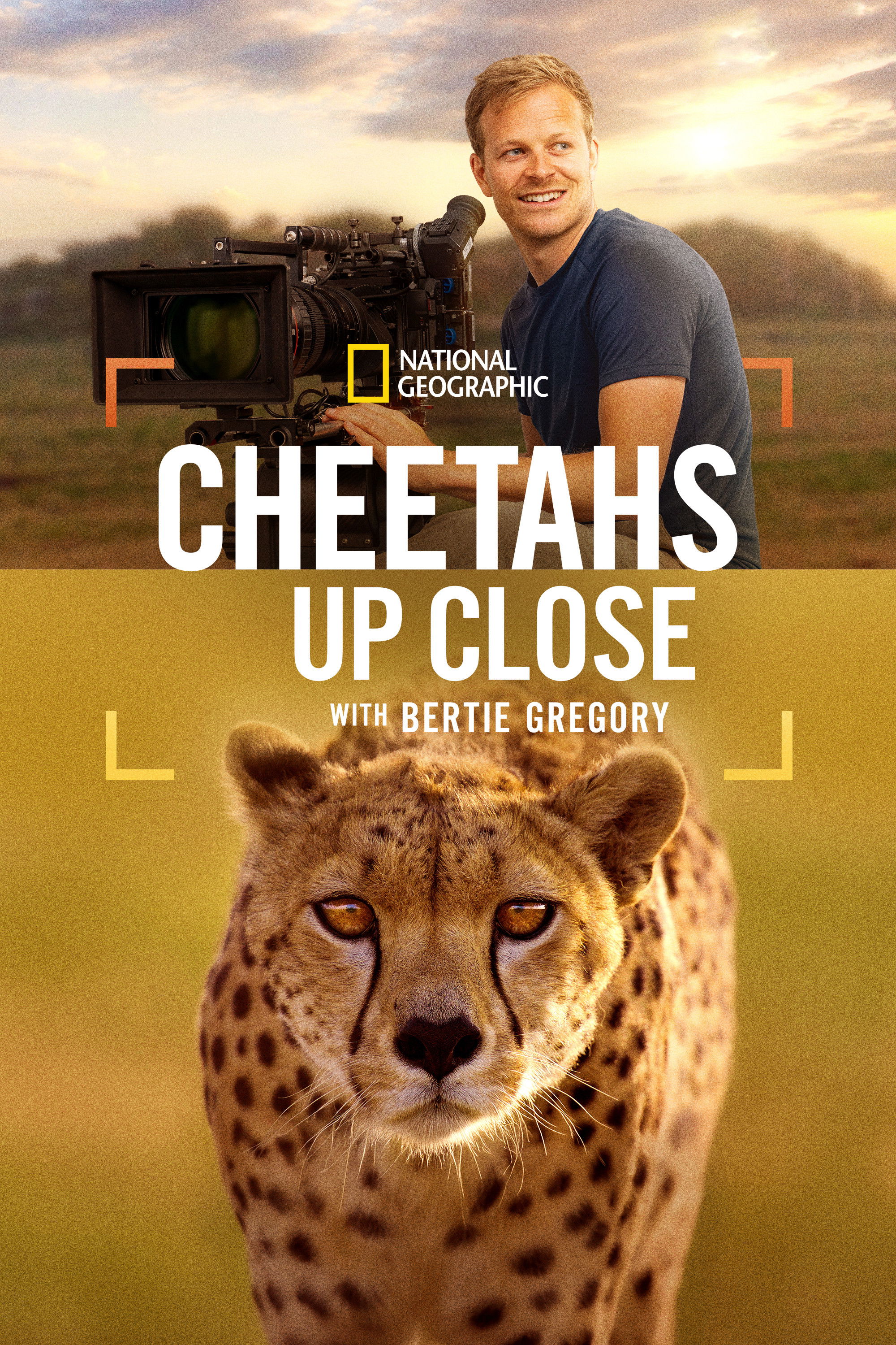 Cheetahs Up Close with Bertie Gregory