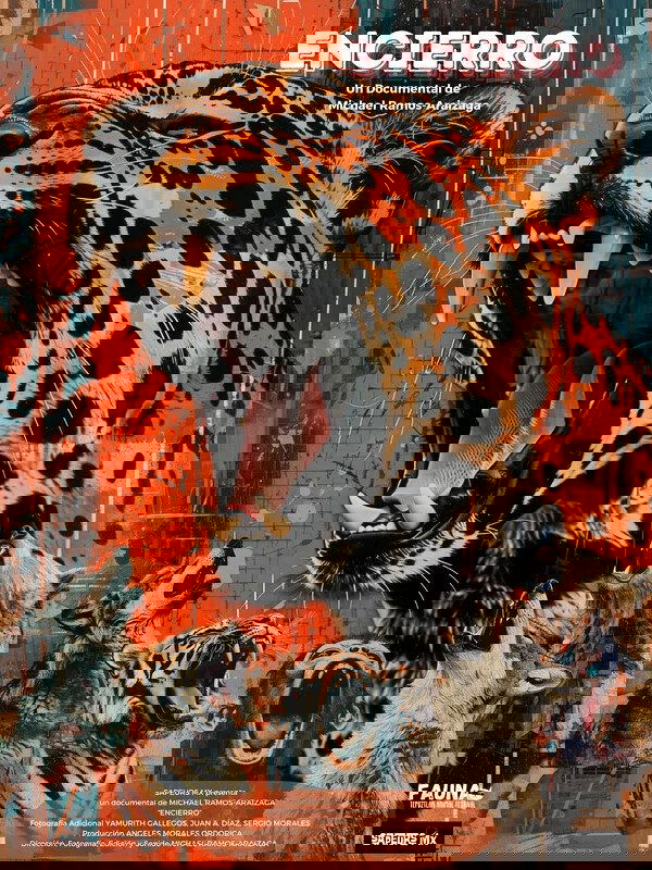 Confinement