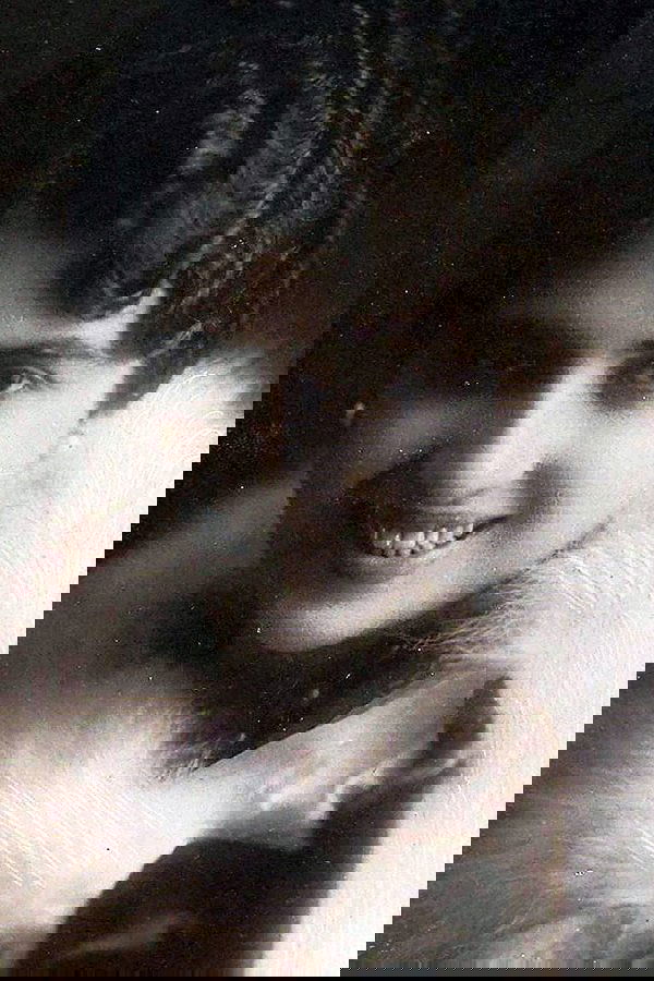 Fernanda Battiferri image