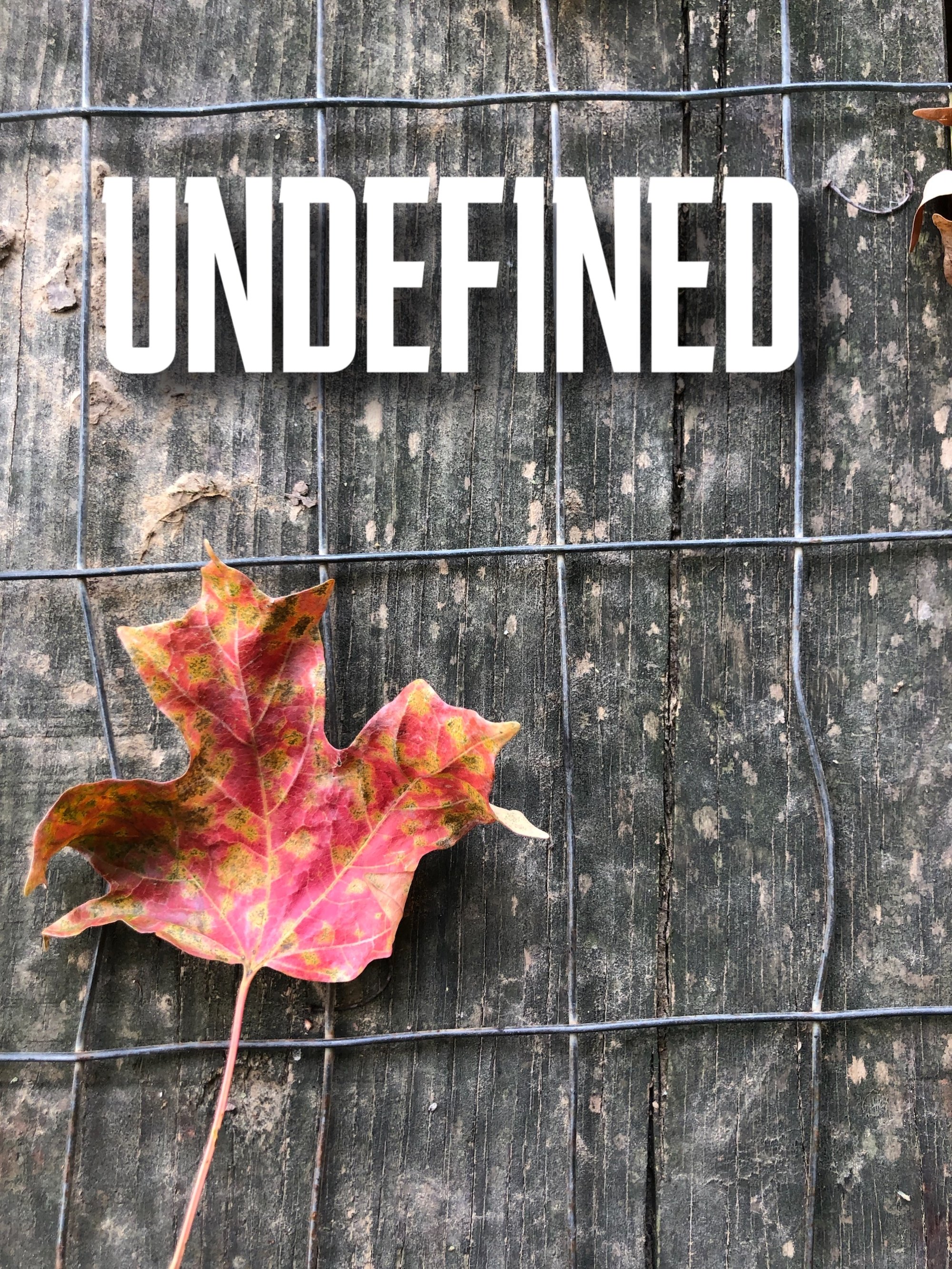 Undefined