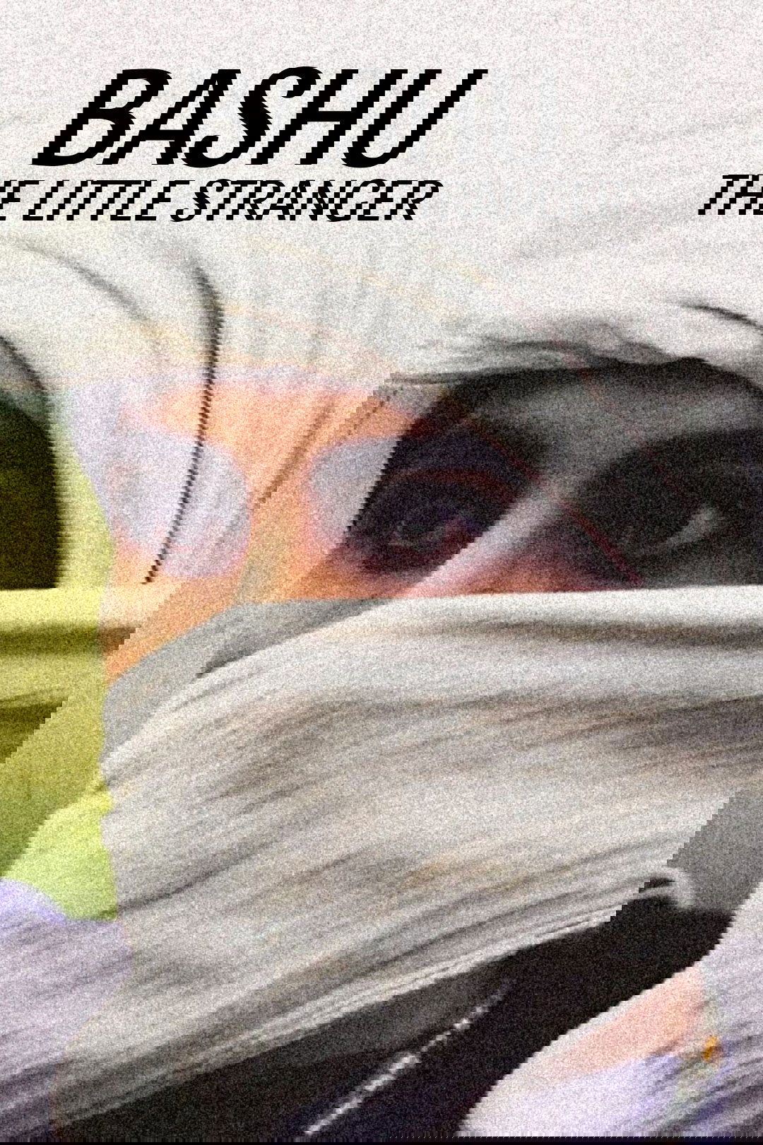 Bashu, the Little Stranger