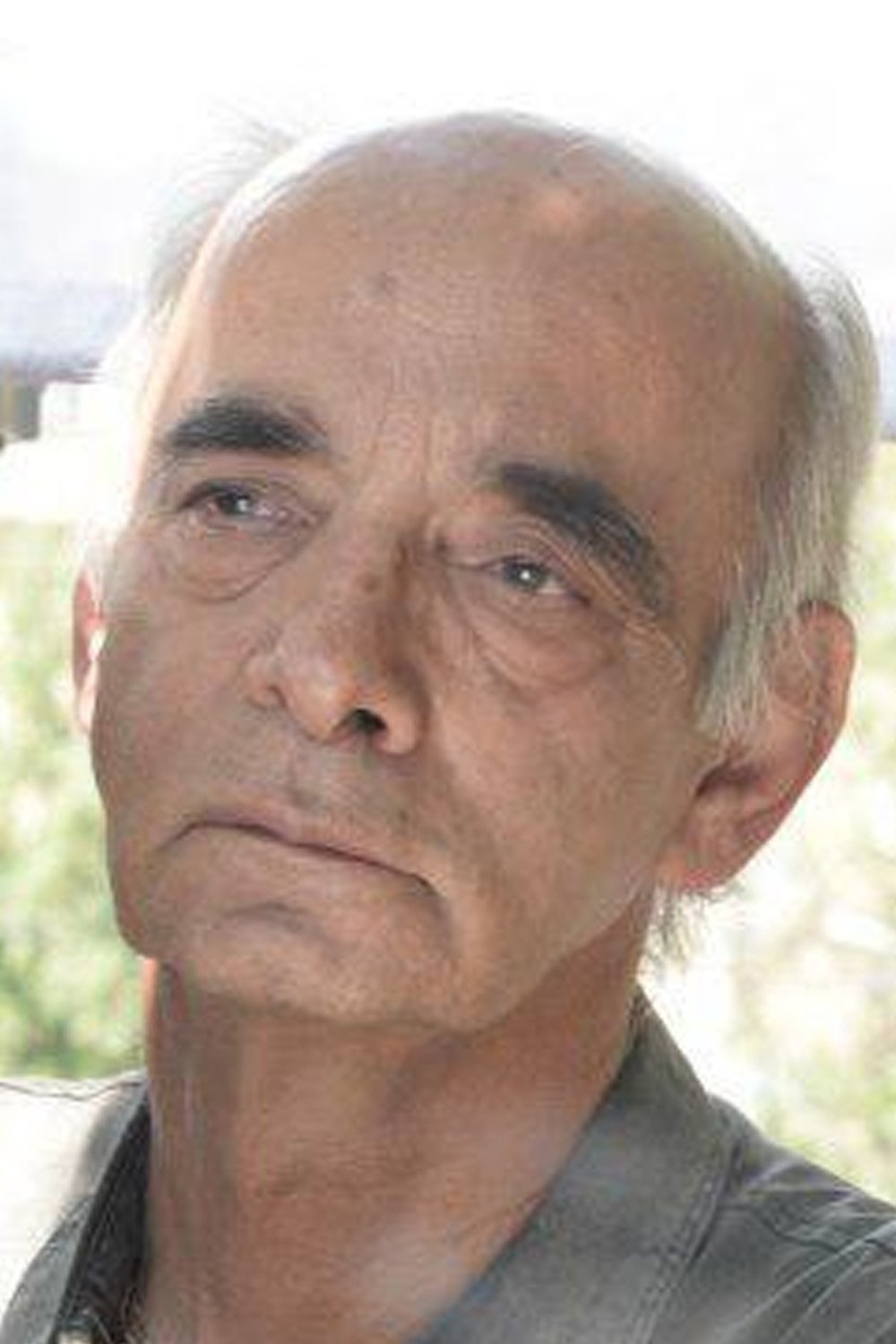 Dariush Ayyari image