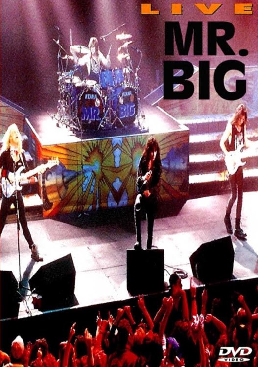 Mr. Big: Live