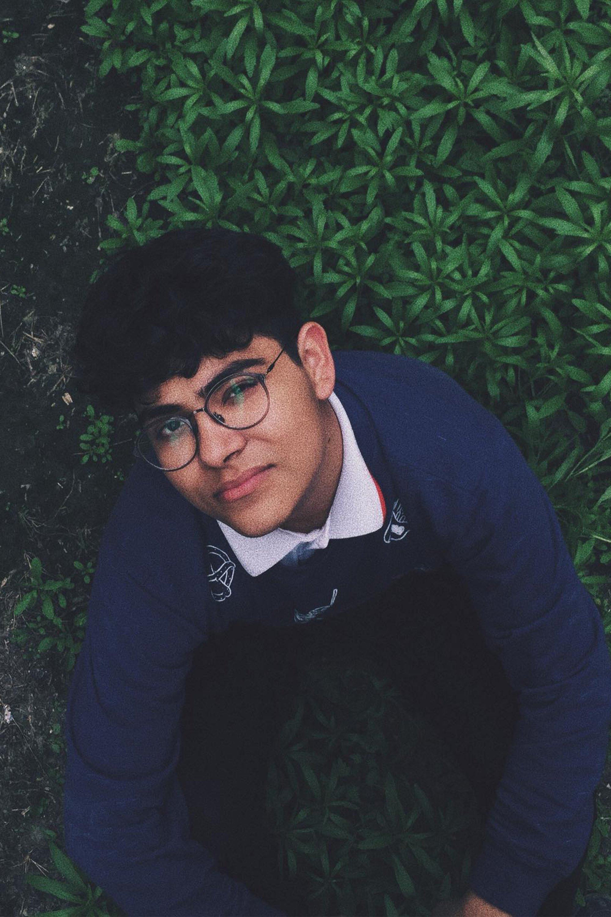 Yamam Arguello image