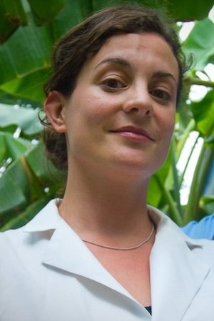 Allison Adonizio image