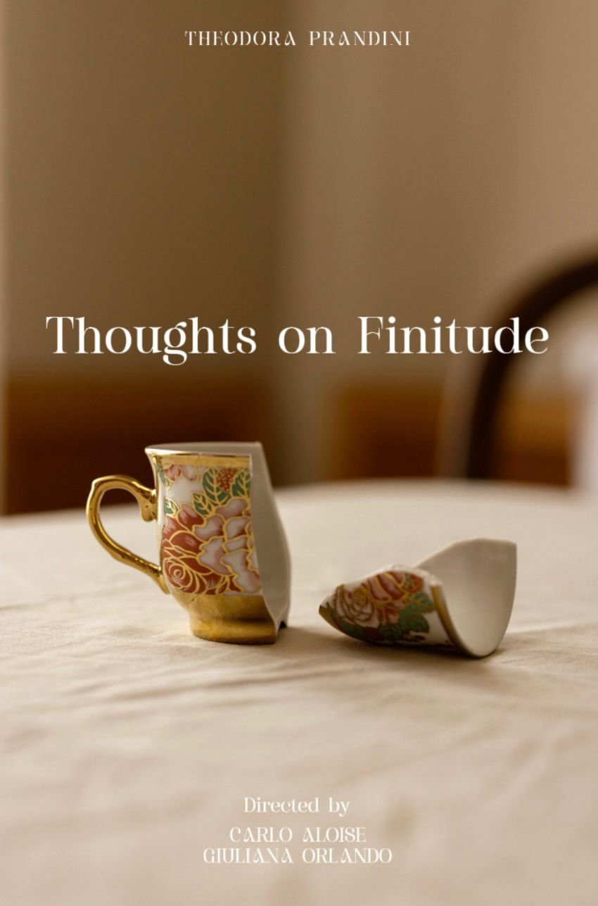 Ensaio Sobre a Finitude