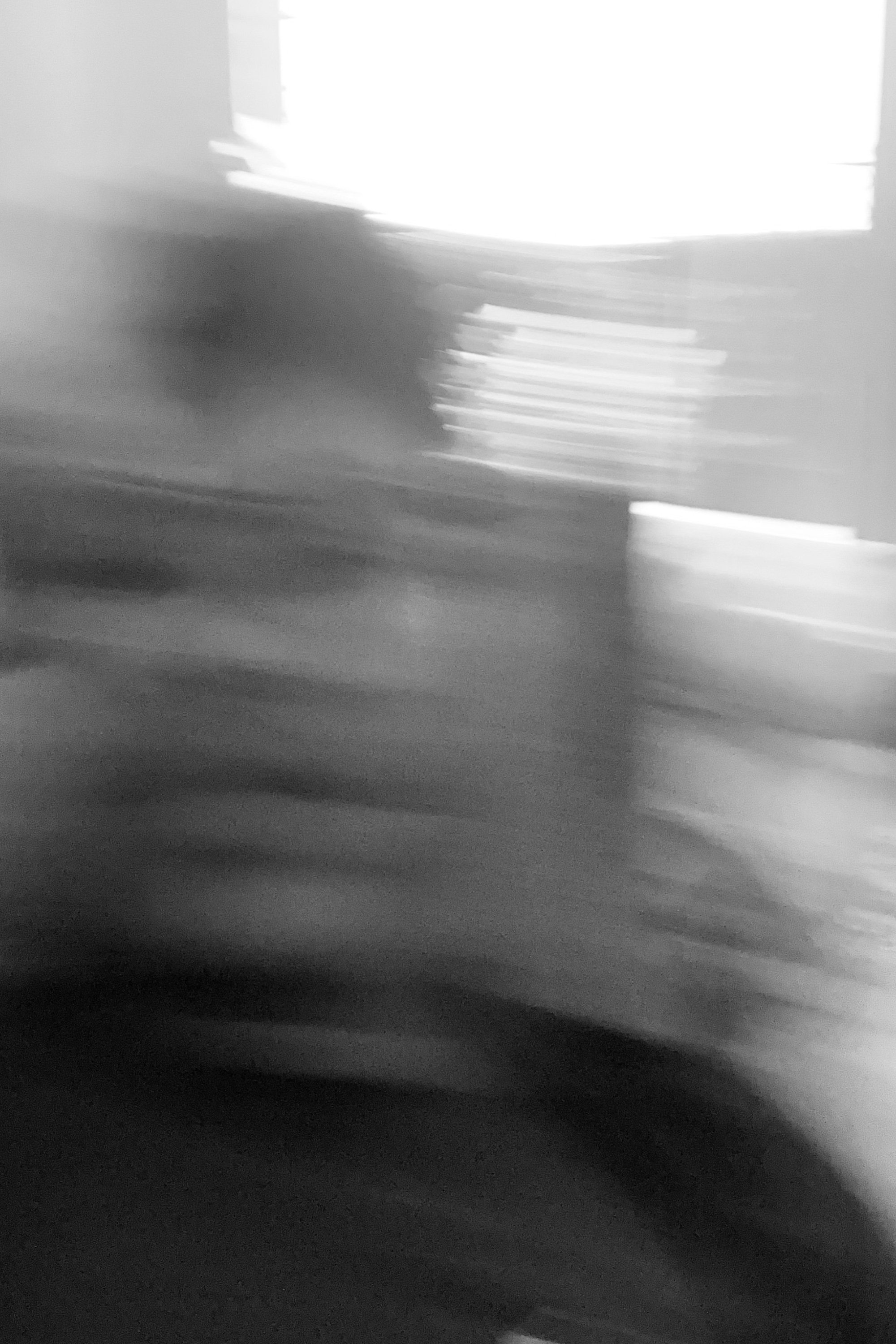 Diego Silva image