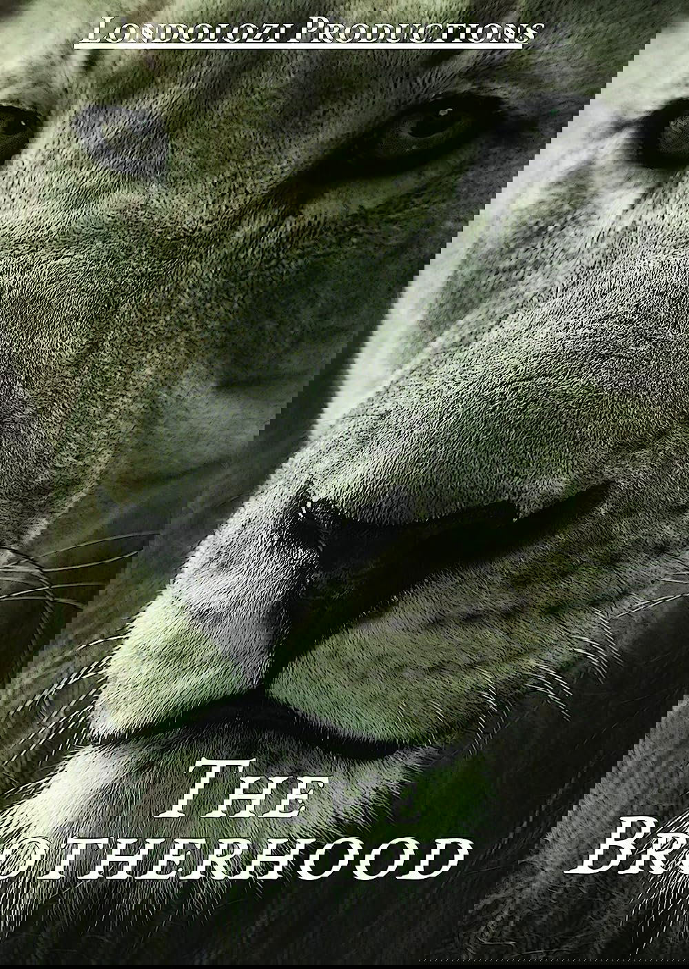 The Brotherhood