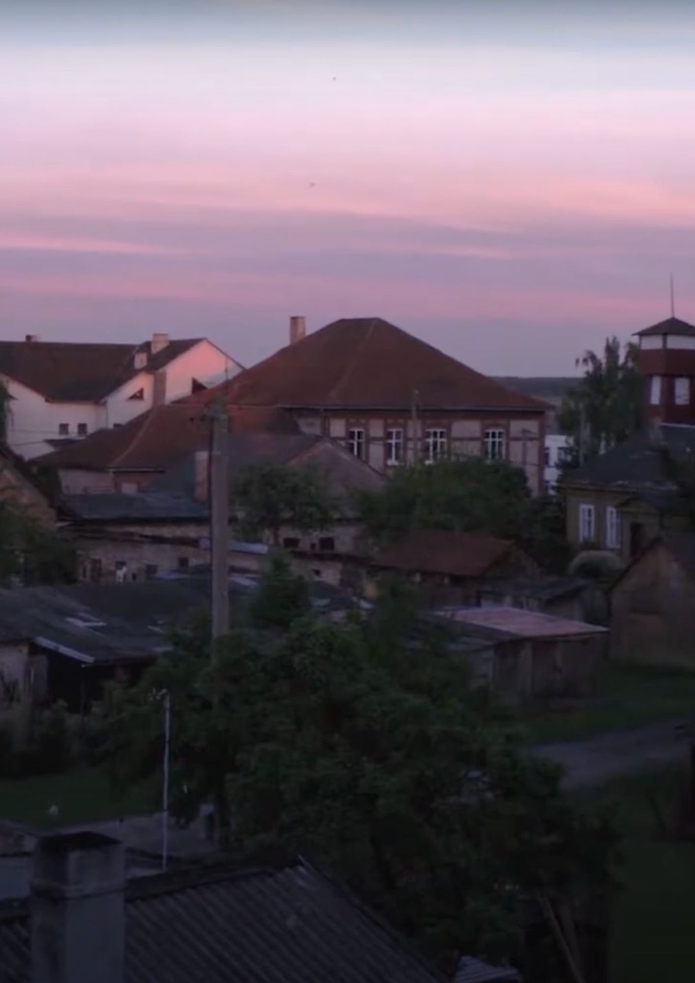 Peafowls Flew Away and Took My Thoughts With Them