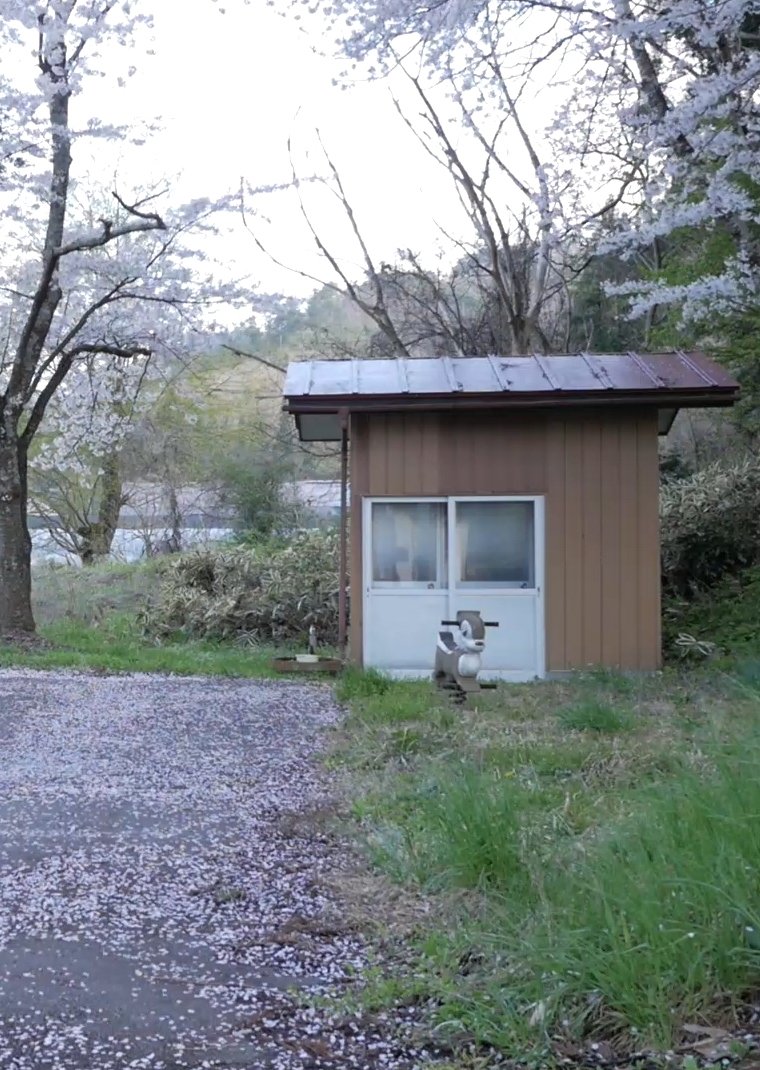 Video Letter Exchange between Buenos Aires, Argentina and Fukushima, Japan