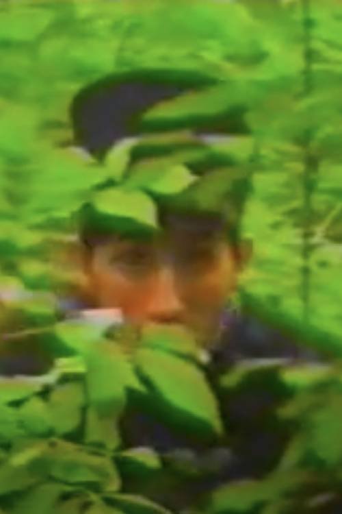 Spring Hoax