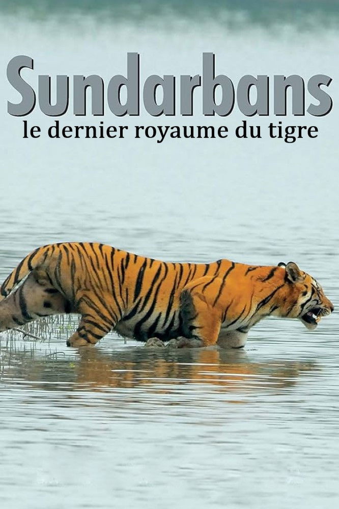Sundarbans, le dernier royaume du tigre