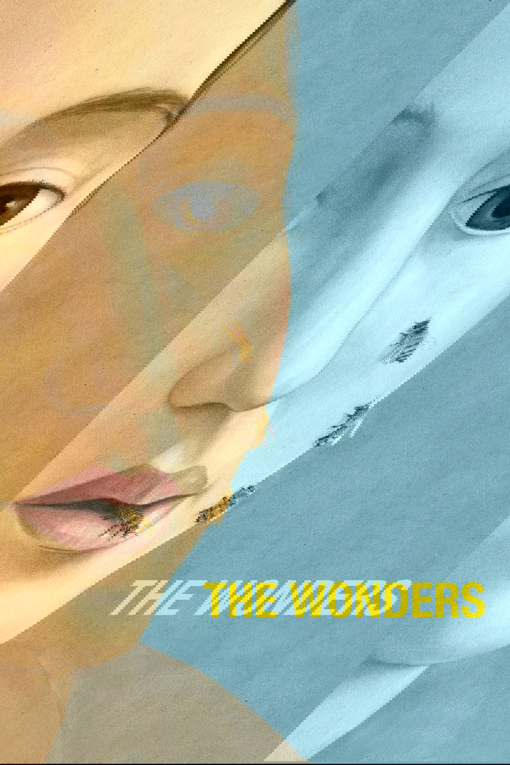 The Wonders