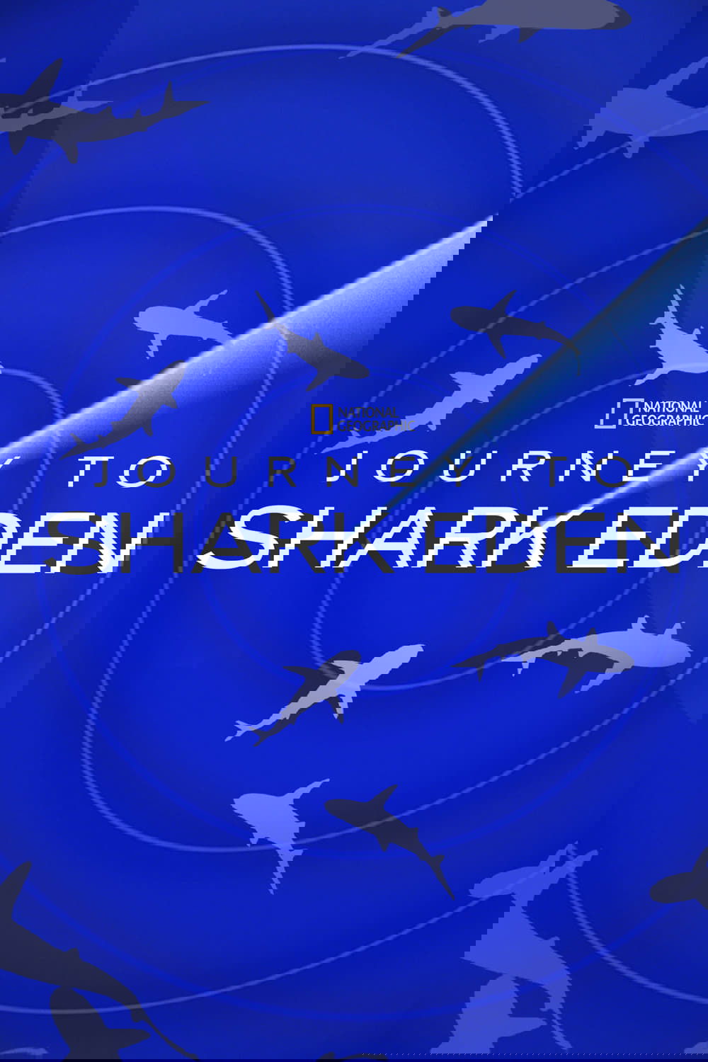 Journey to Shark Eden