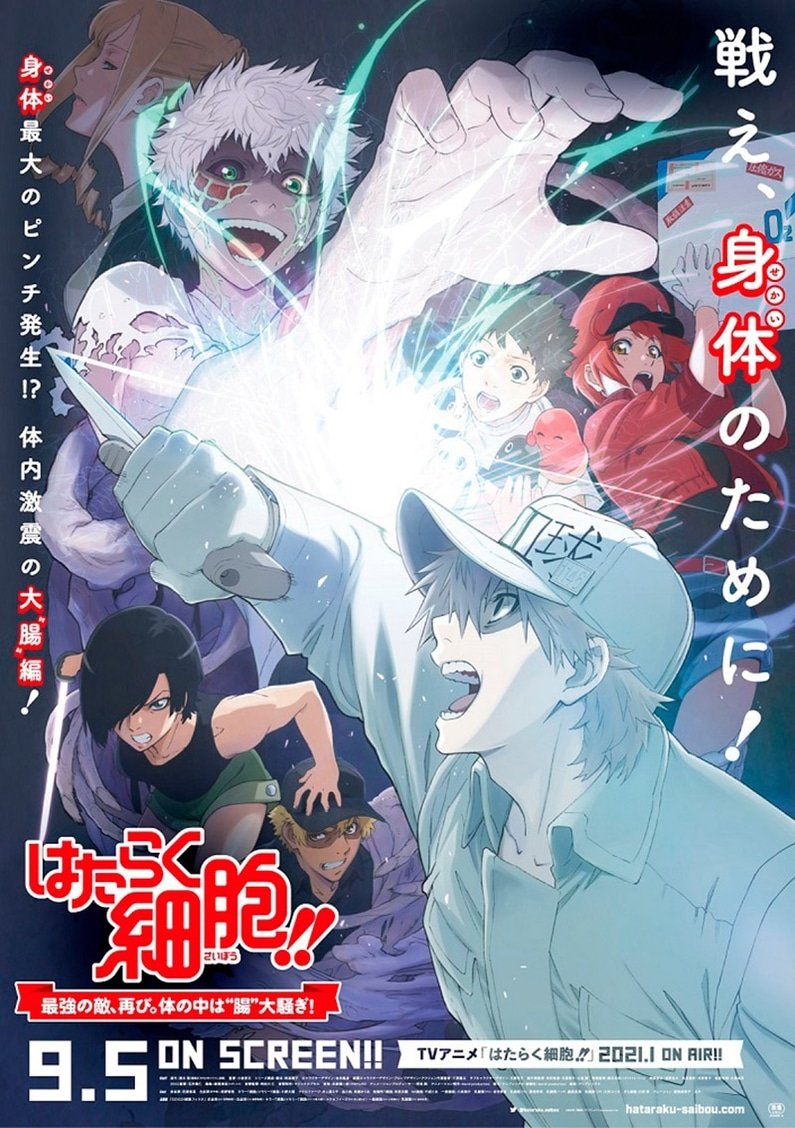 Cells at Work!! The Return of the Strongest Enemy: A Huge Uproar in the Body’s Bowels!