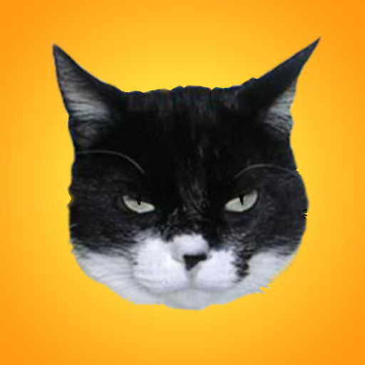  PFP