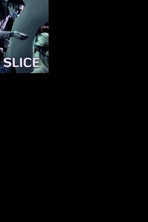 Slice