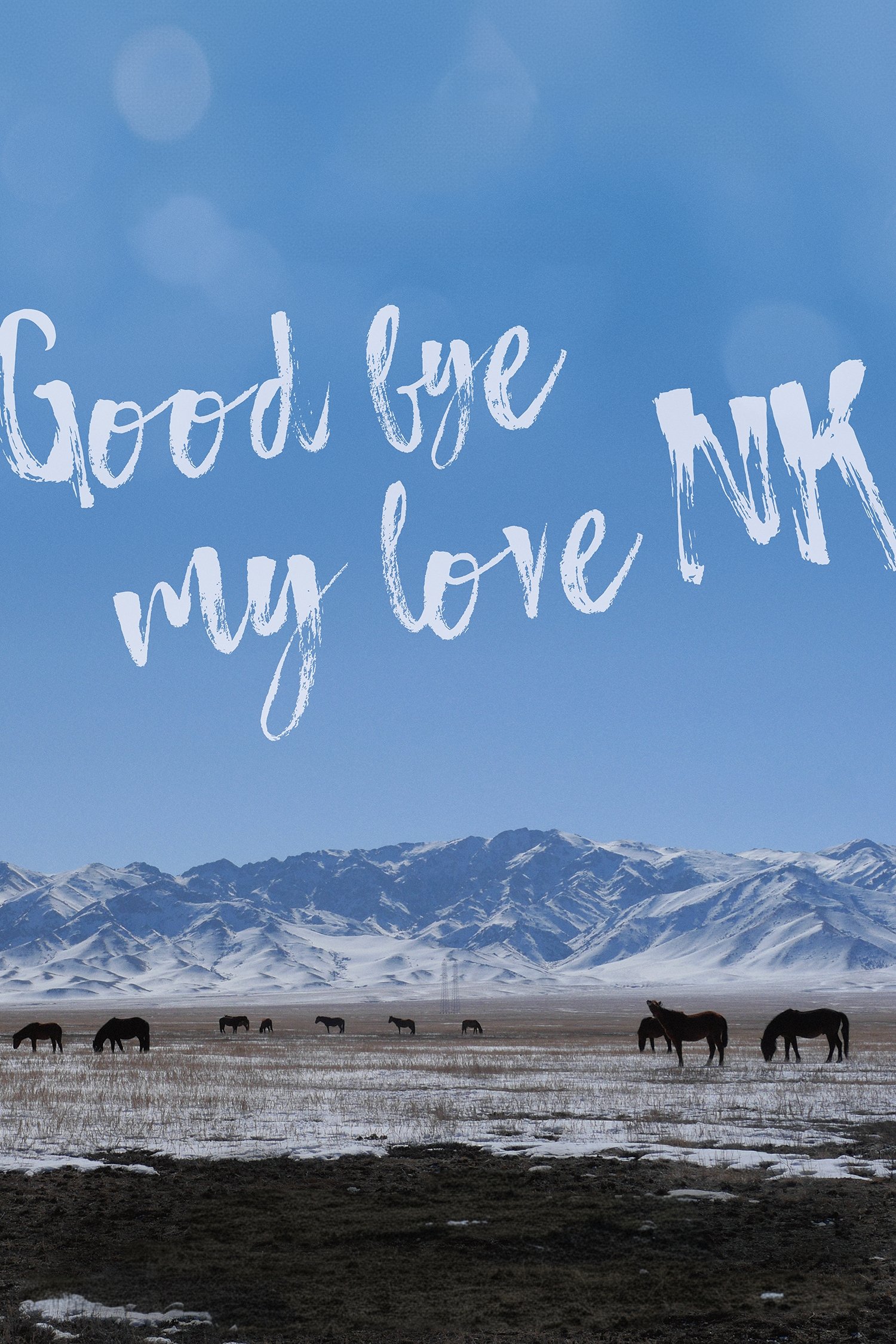Goodbye My Love, NK