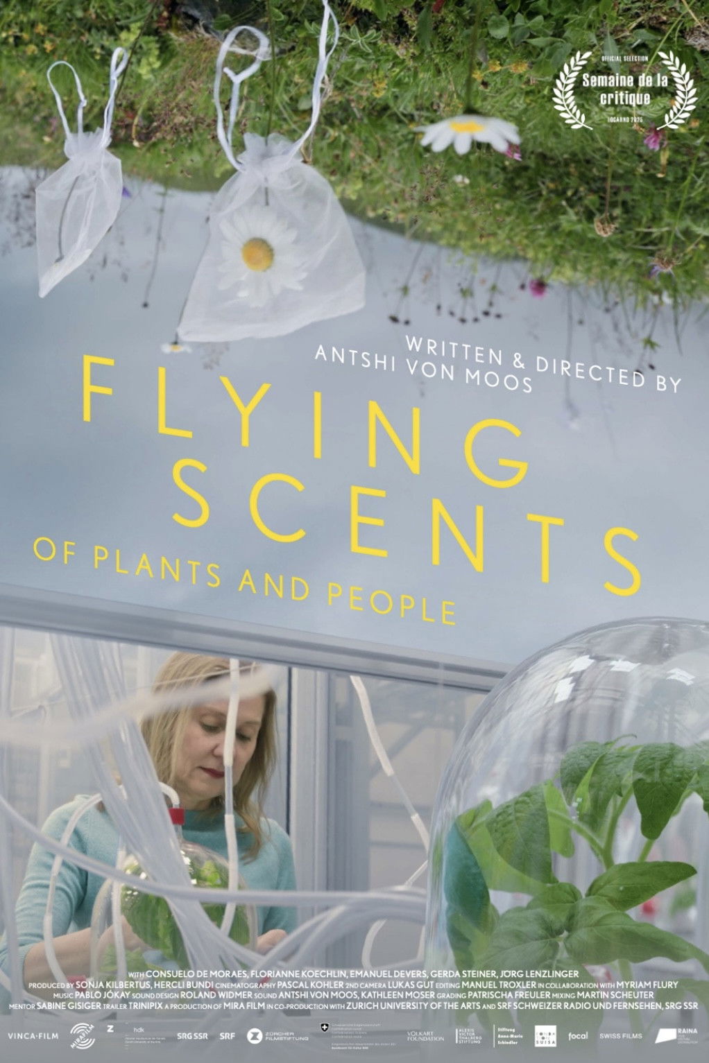 Flying Scents - of Plants and People