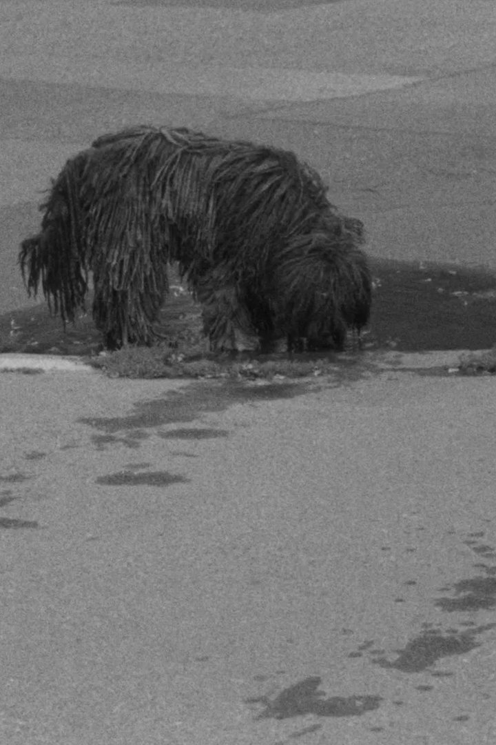 Puddles, I Don't Know