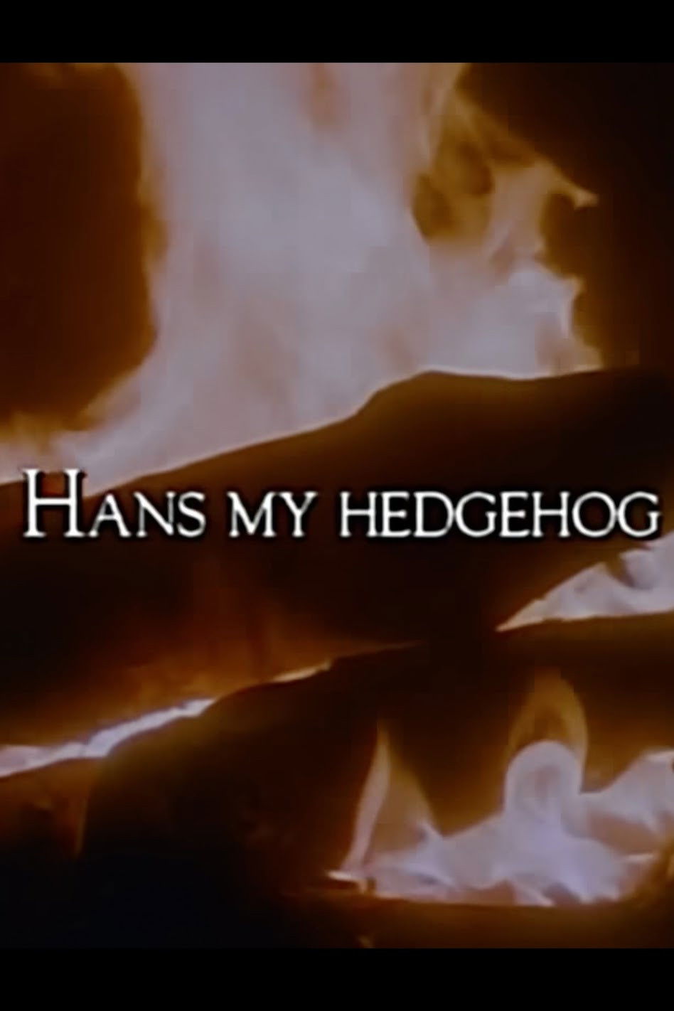 The Storyteller: Hans My Hedgehog