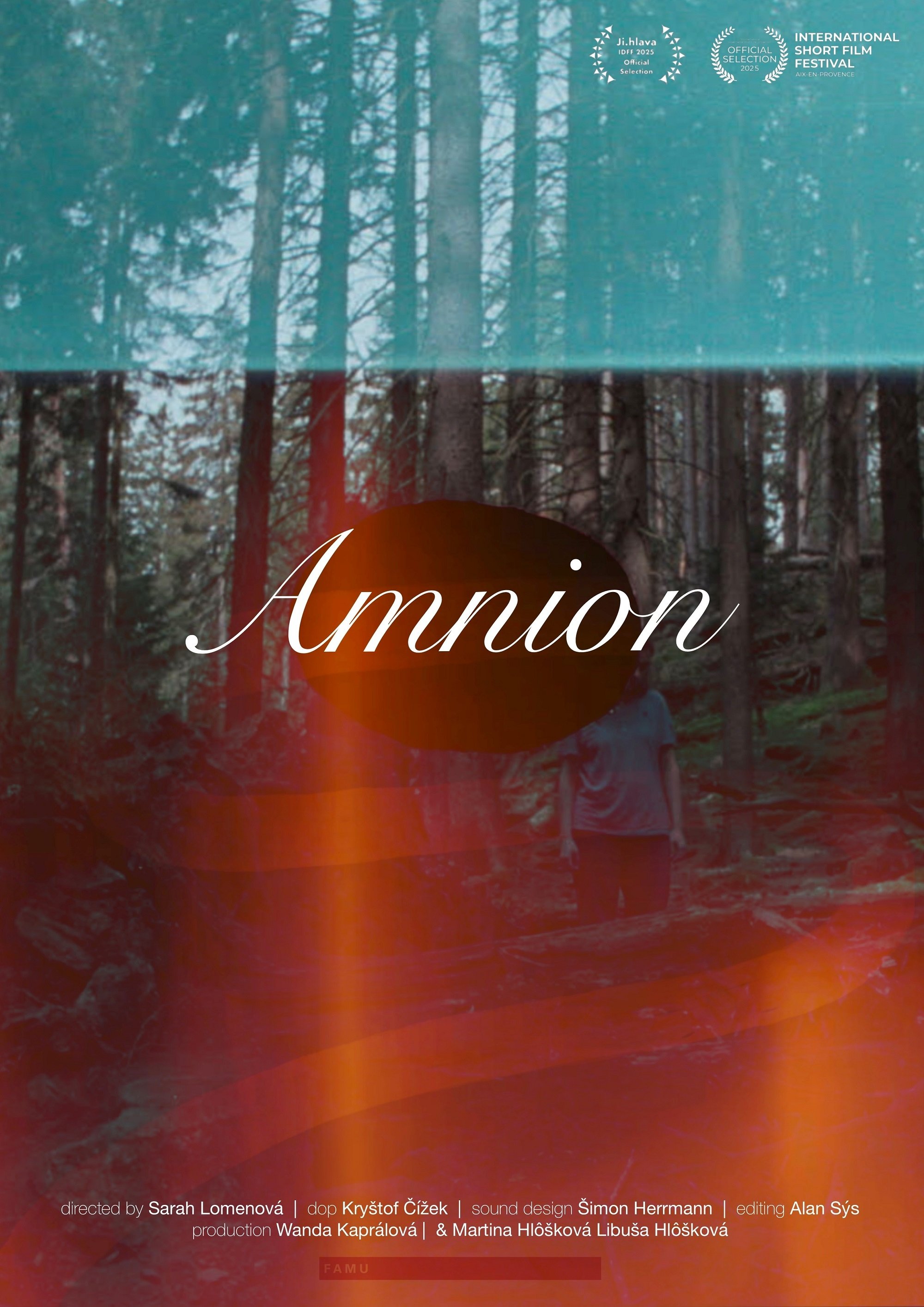 Amnion