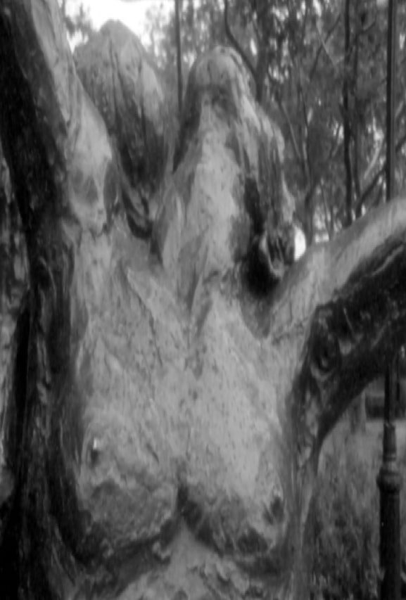 Fuzzy Forests and Looking Across the Stream