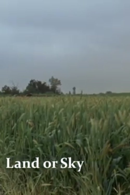 Land or Sky