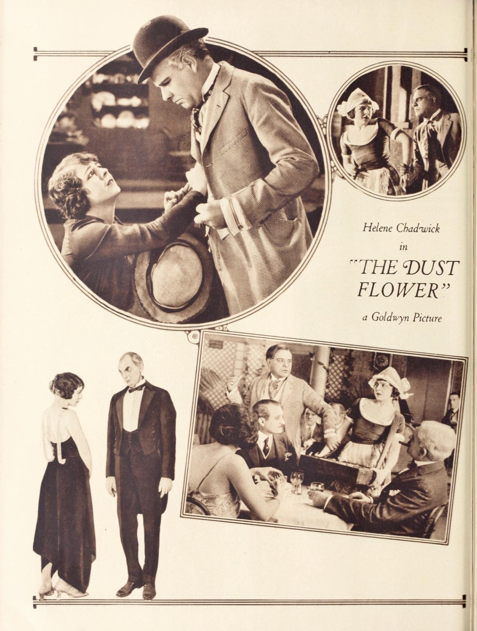 The Dust Flower