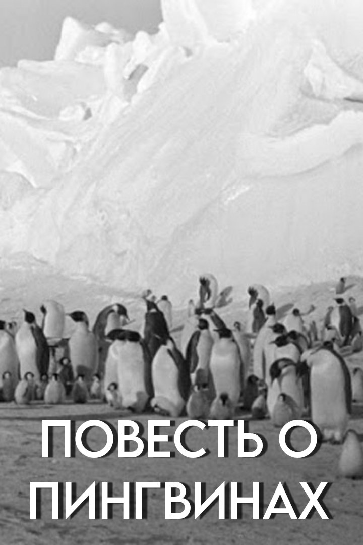 Tale of the Penguins